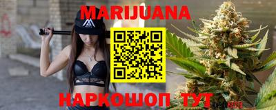 гидропоника Будённовск