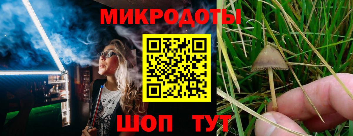 Псилоцибиновые грибы Cubensis  Вход с VPN  Ирбит 
